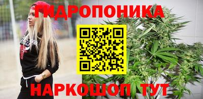 прущие крисы Мариинск