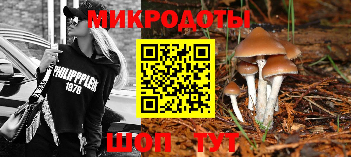 Галлюциногенные грибы Psilocybine cubensis  Вход с VPN  магазин продажи наркотиков  Шадринск 