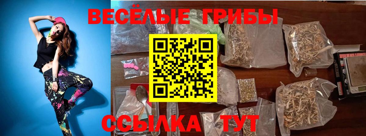 Псилоцибиновые грибы мицелий Шадринск